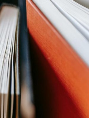Com o objetivo de corrigir, em caráter de urgência, a ausência de material didático em escolas do município de Nova Olinda do Norte, o Ministério Público do Estado do Amazonas (MPAM) encaminhou recomendações à Secretaria de Estado de Educação e Desporto do Amazonas (Seduc). As diligências foram determinadas pela promotora de Justiça Tainá dos Santos Madela.